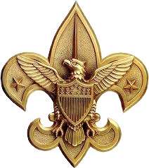 Scouts Logo